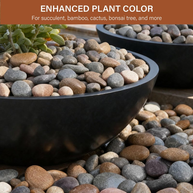 NUPICK 6lb Mexican Beach Pebbles, 2-3" Large River Rocks for Landscaping, Smooth Garden Rocks for Outdoor Paving, Natural Pebbles for Indoor Plants, Decorative Stones for Planters, Fish Tank, Fountain - Image 5