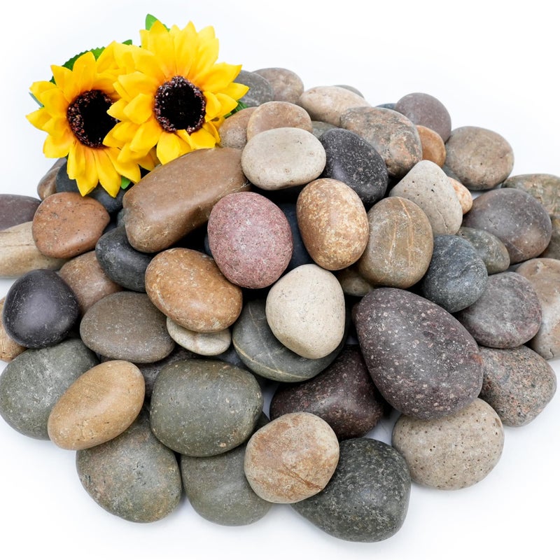NUPICK 6lb Mexican Beach Pebbles, 2-3" Large River Rocks for Landscaping, Smooth Garden Rocks for Outdoor Paving, Natural Pebbles for Indoor Plants, Decorative Stones for Planters, Fish Tank, Fountain - Image 1