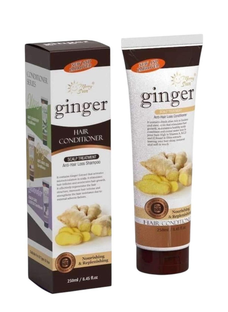 merry sun ginger hair conditioner