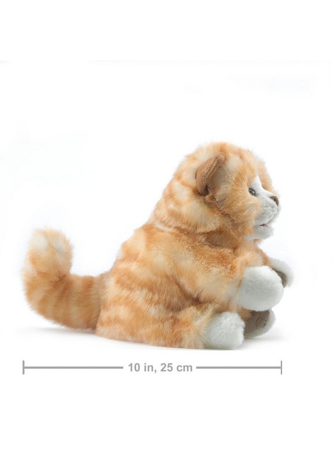 Folkmanis Orange Tabby Kitten Hand Puppet Orange, White, 1 EA - Image 4