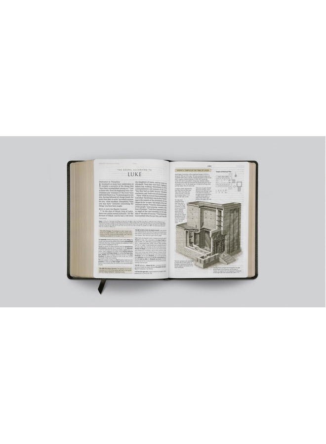Crossway ESV Study Bible, Large Print - Image 5