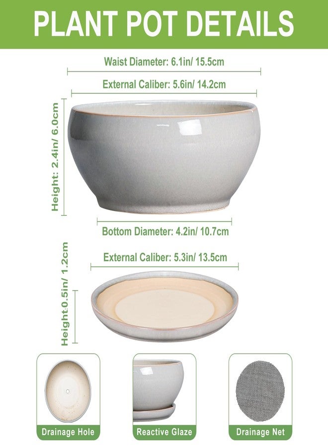 SQOWL Succulent Planters 6 Inch - Ceramic Bonsai Pots with Drainage Hole and Saucer, Shallow Planter for Indoor Plants Outdoor, Round Ceramic Pots for Plants Cactus, Room Decor, Garden Gifts, Gray - Image 2
