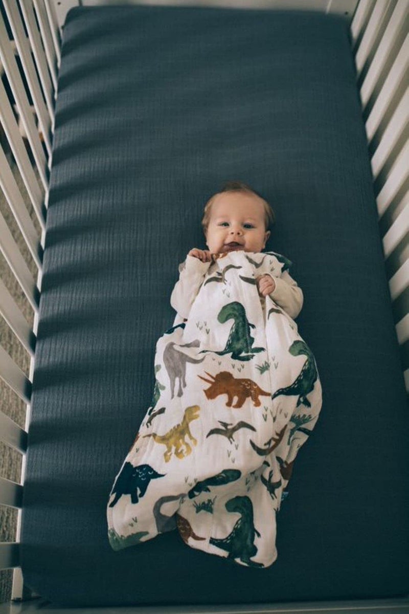 Little Unicorn 0-6 Month Premium Muslin Sleep Sack 1.1 TOG | Soft & Breathable Muslin Cotton for safer sleep | 2 way zipper (Dino Friends) - Image 2