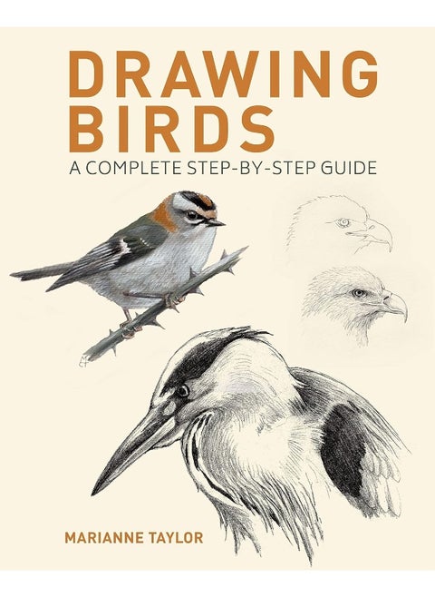 Drawing Birds: A Complete Step-by-Step Guide