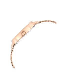 TITAN Raga Viva Brown Dial Stainless Steel Strap Watch  - Image 4