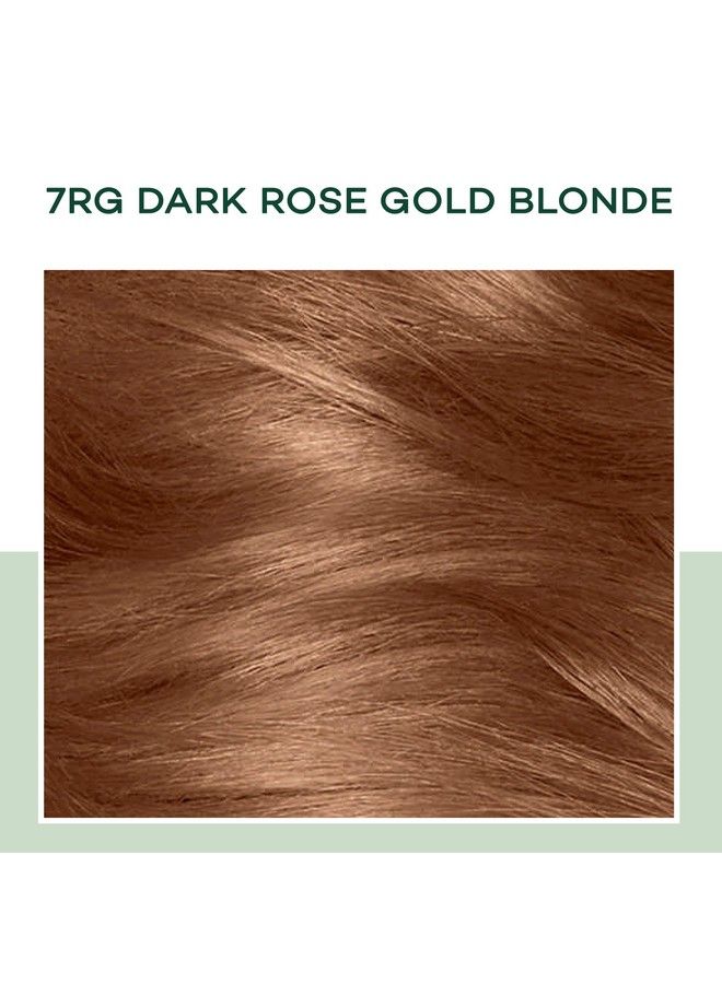 CLAIROL صبغة شعر دائمة نصفية من ناتشورال إنستينكتس 7Rg بلوند وردي ذهبي داكن عبوة من 1 - Image 3