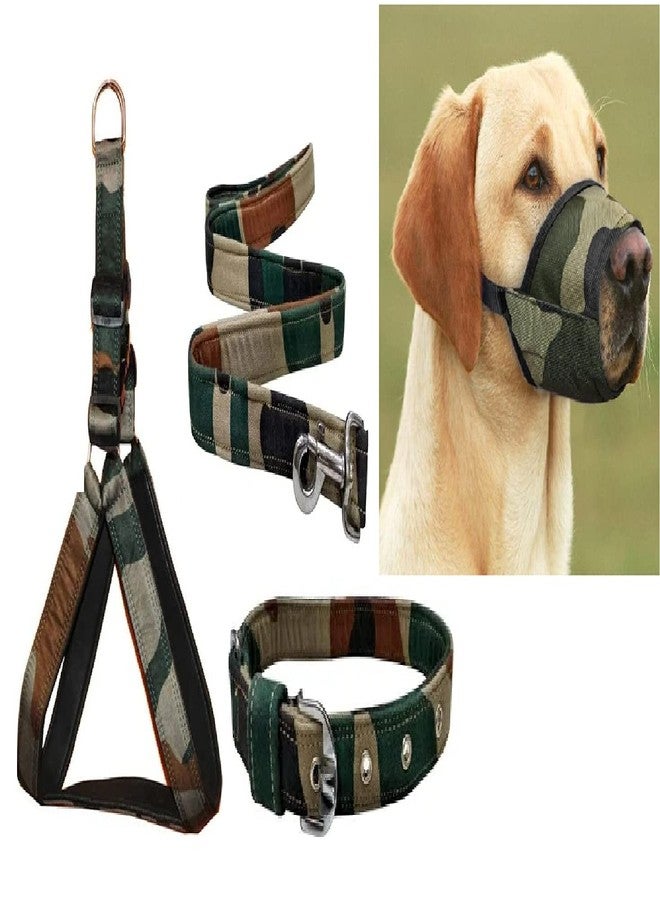 Hachiko:-Best Dog Body Belt Harness+Leash+Collar+Muzzle Specially for All Large Breeds Dogs(Combo of 4) - Image 1