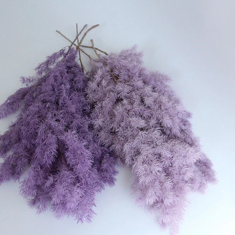 Bluejw Dried Asparagus Fern Bouquet - Natural Preserved Flowers, Ming Fern & Pine DIY Floral Arrangement Material for Home Decor & Crafts - Image 5