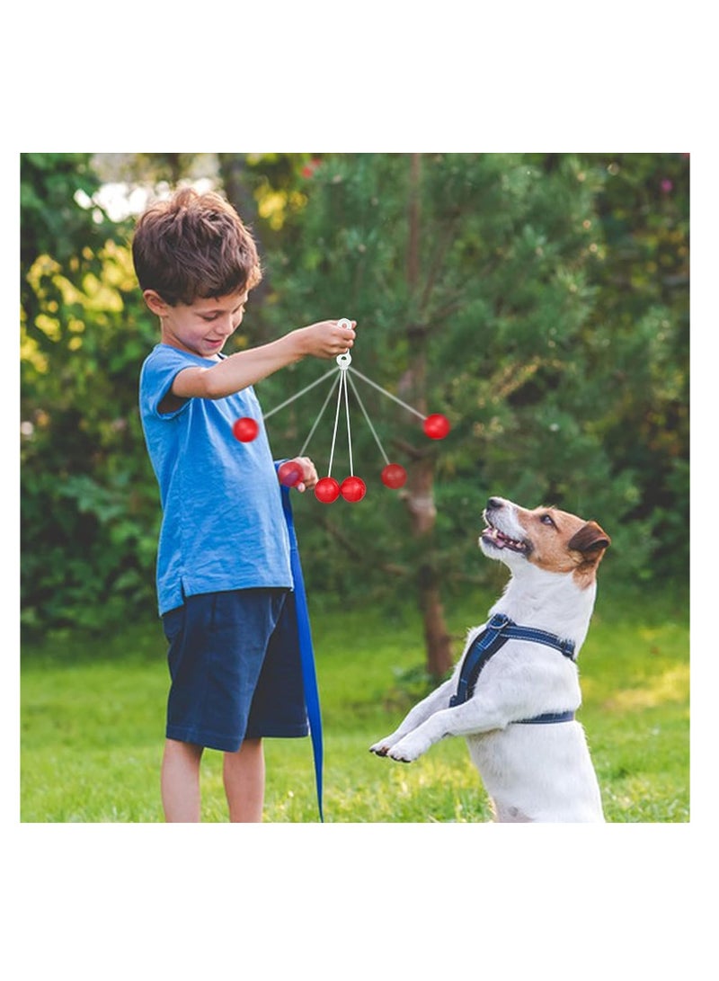 توي لاند مجموعة ألعاب كرات النقر من 12 قطعة - كرة تمرين لليد والمعصم، كرات ملونة تصدر ضوضاء على خيط - هدية ممتعة للحفلات أو للأطفال - Image 3