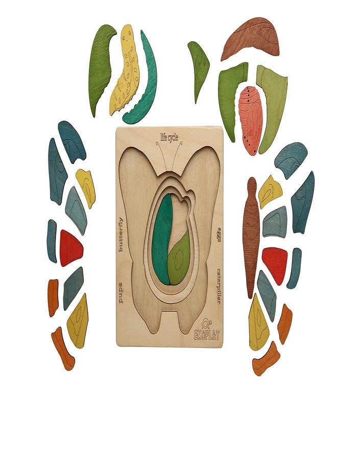 EKOPLAY Life Cycle of A Butterfly | 31 Piece Wooden Multilayered Jigsaw Puzzles for Kids | Educational Toy and Gift for Boys & Girls 3 Years and Above - Image 4