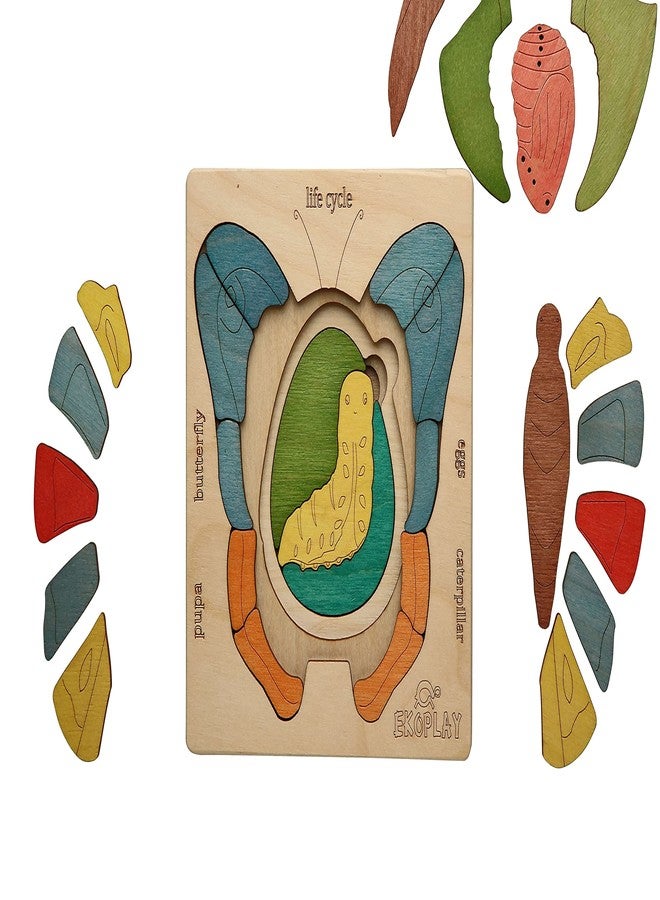 EKOPLAY Life Cycle of A Butterfly | 31 Piece Wooden Multilayered Jigsaw Puzzles for Kids | Educational Toy and Gift for Boys & Girls 3 Years and Above - Image 5