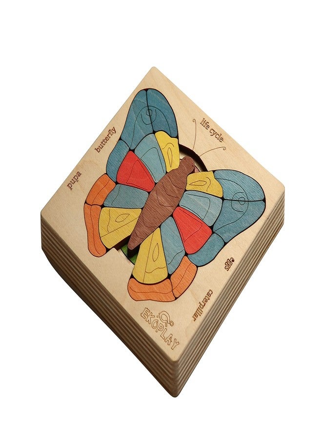 EKOPLAY Life Cycle of A Butterfly | 31 Piece Wooden Multilayered Jigsaw Puzzles for Kids | Educational Toy and Gift for Boys & Girls 3 Years and Above - Image 3