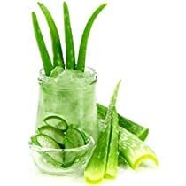 LOVELY Skin Purifying Pure Aloe Vera Gel Moisturizing Therapy for Dry Skin Body and Hair Contains Vitamin E 500 ML - Image 2