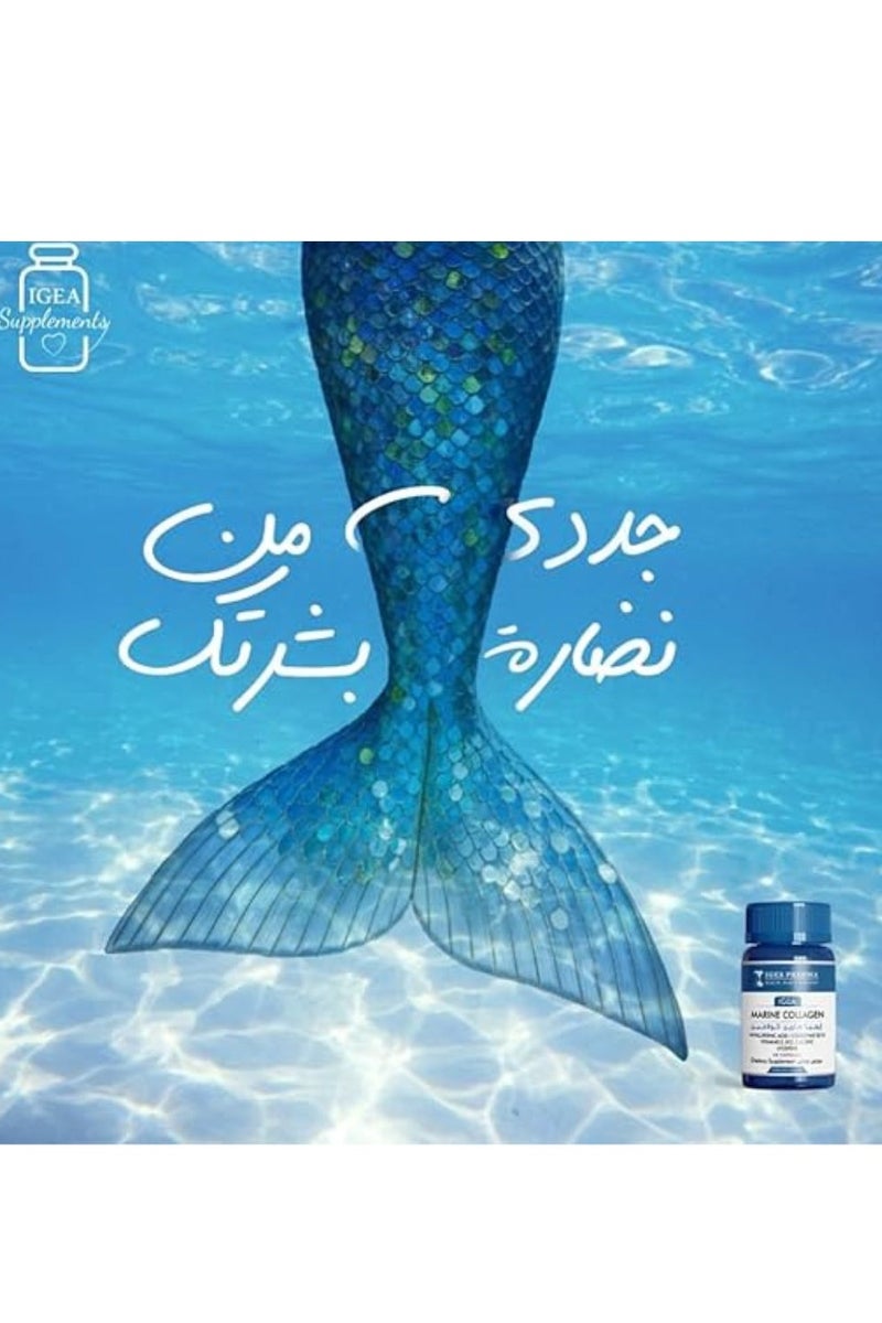 إيجيا فارما الكولاجين البحري من إيجيا - مكمل غذائي لصحة البشرة والمفاصل (60 كبسولة) - Image 4