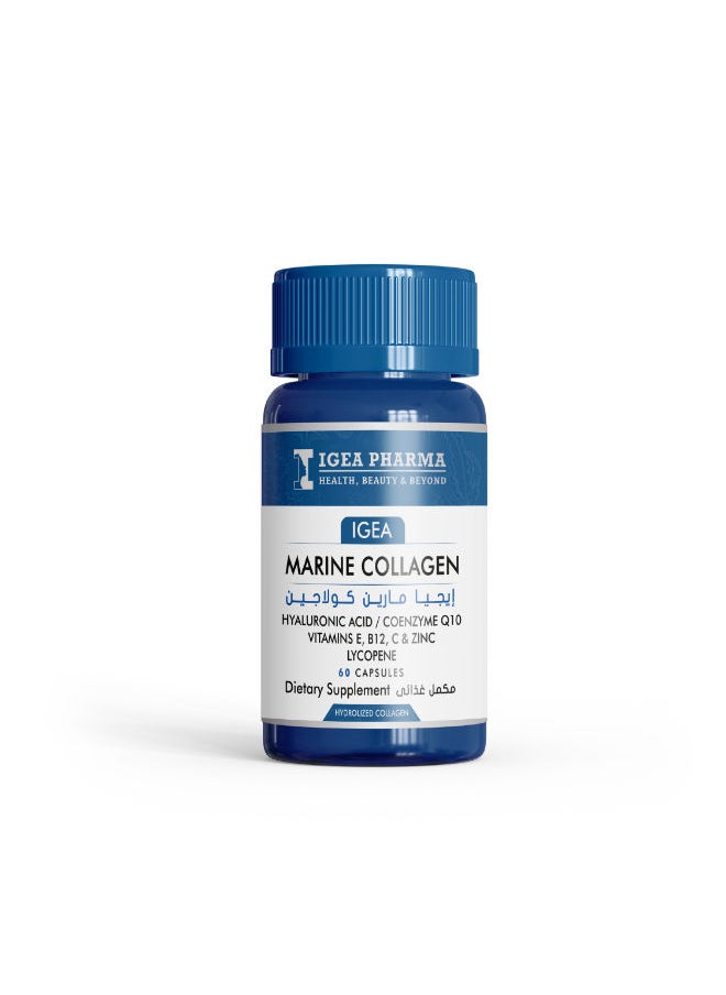 IGEA PHARMA IGEA Marine Collagen – Skin & Joint Health Supplement (60 Capsules)  - Image 1