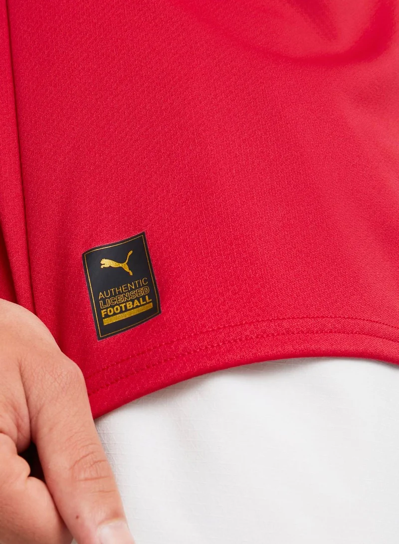 PUMA Czech Home Men Football Jersey
