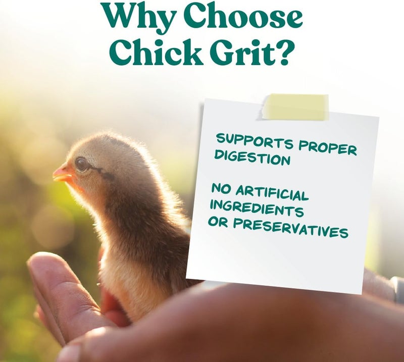 مانا برو مكمل غذائي للهضم “Manna Pro Chick Grit” للدواجن الصغيرة وسلالات البانتام – خالي من المكونات الصناعية والمواد الحافظة – مكمل طبيعي يحتوي على حجر الجرانيت المطحون غير القابل للذوبان – وزن 5 رطلات - Image 3