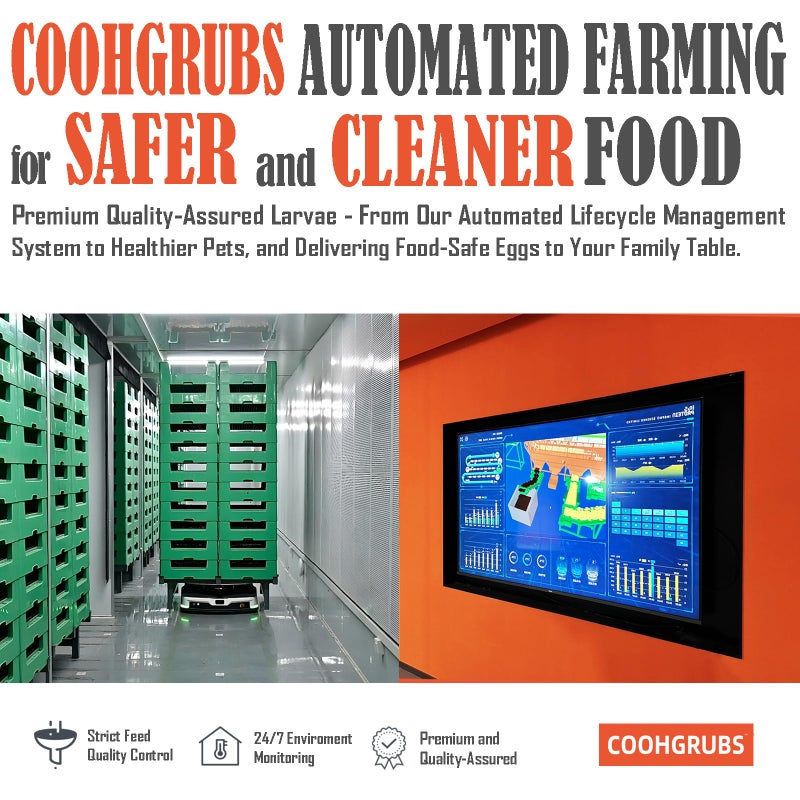 COOHGRUBS Dried Black Soldier Fly Larvae for Chickens, High-Calcium 85X More Than Mealworms Bird Treats, 10-lb Box - Image 2