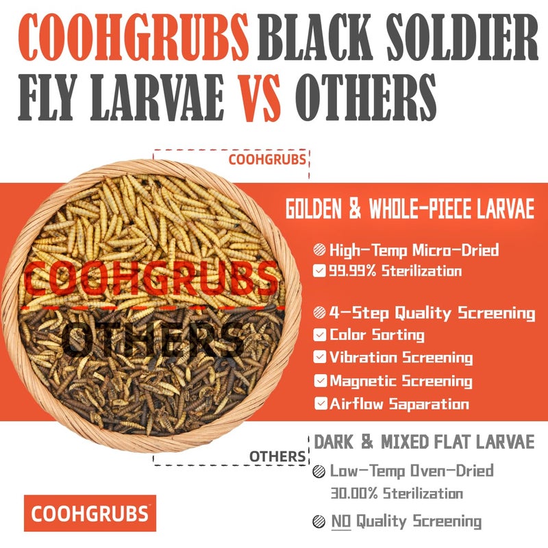 COOHGRUBS Dried Black Soldier Fly Larvae for Chickens, High-Calcium 85X More Than Mealworms Bird Treats, 10-lb Box - Image 3