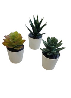 Garden Oasis Landscaping Artificial Succulents mini set  - Image 1