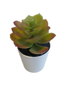 Garden Oasis Landscaping Artificial Succulents mini set  - Image 4