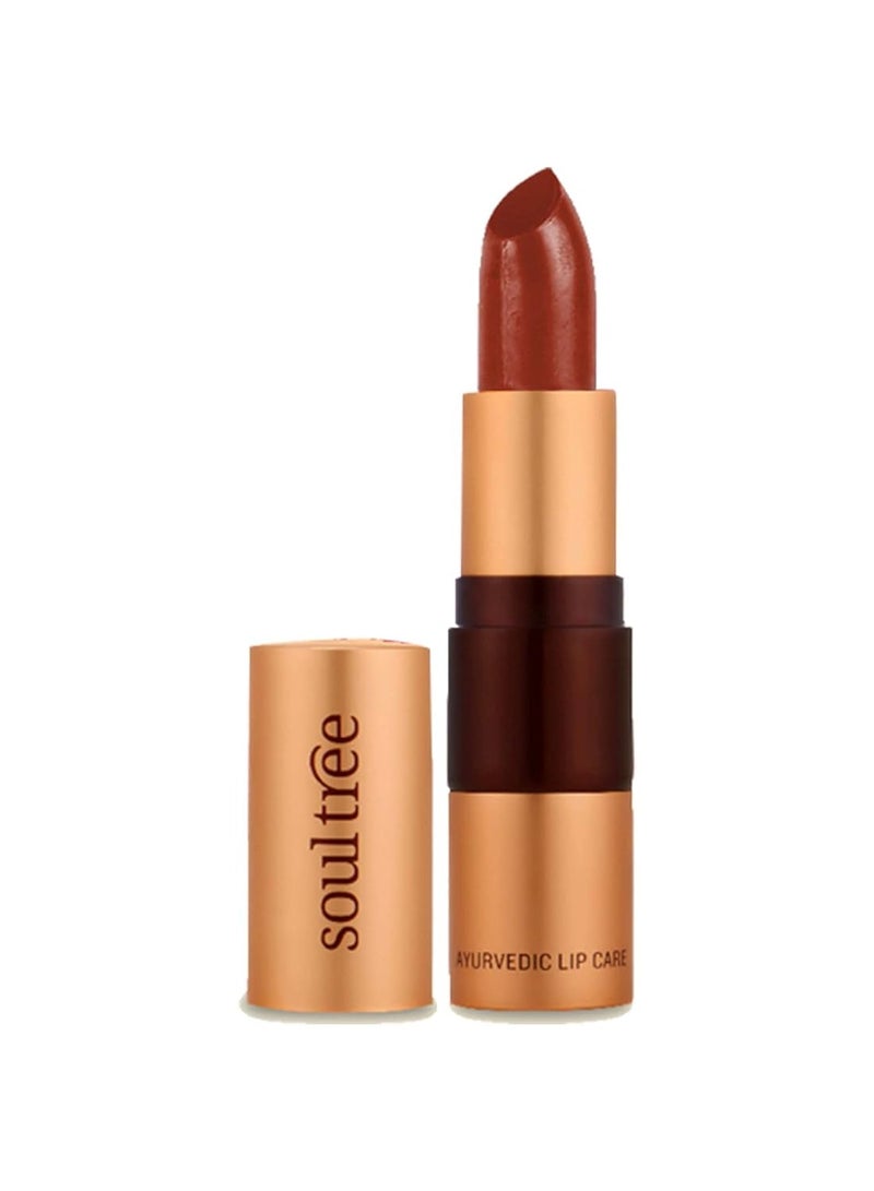 SoulTree Ayurvedic Lipstick Copper Mine 213 4gm - Image 1