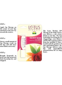 LOTUS HERBALS Lip Therapy Velvety Rose 4Gm  - Image 3