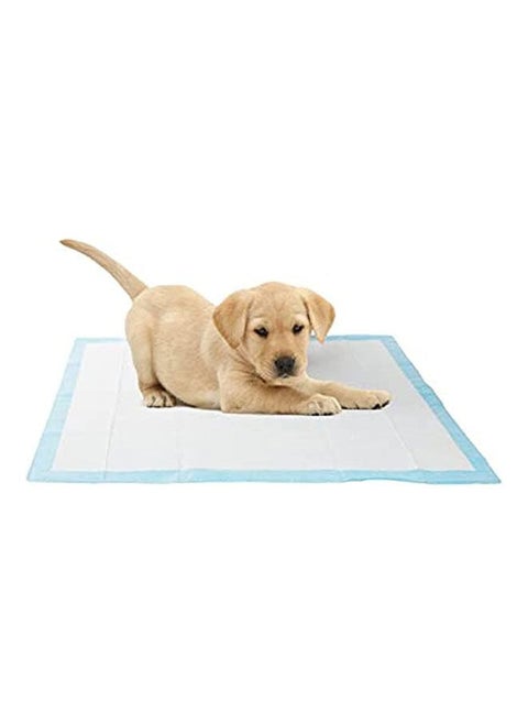 Pets Pads For Absorbing Water L - 90x60 cm 20 PCS