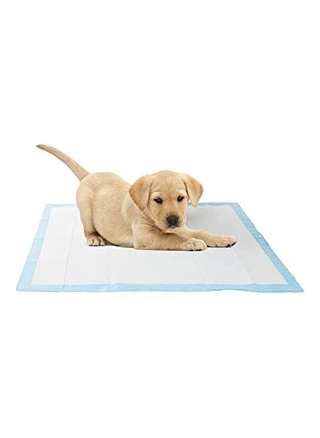 chong chong baobel Pets Pads For Absorbing Water L - 90x60 cm 20 PCS  - Image 1