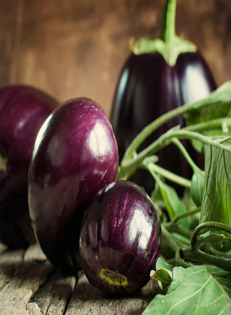 GGOOT 100pcs Purple Round Charming Eggplant Seeds for Planting on Outdoor Terraces Planting with Kids Promote Feelings - Image 3