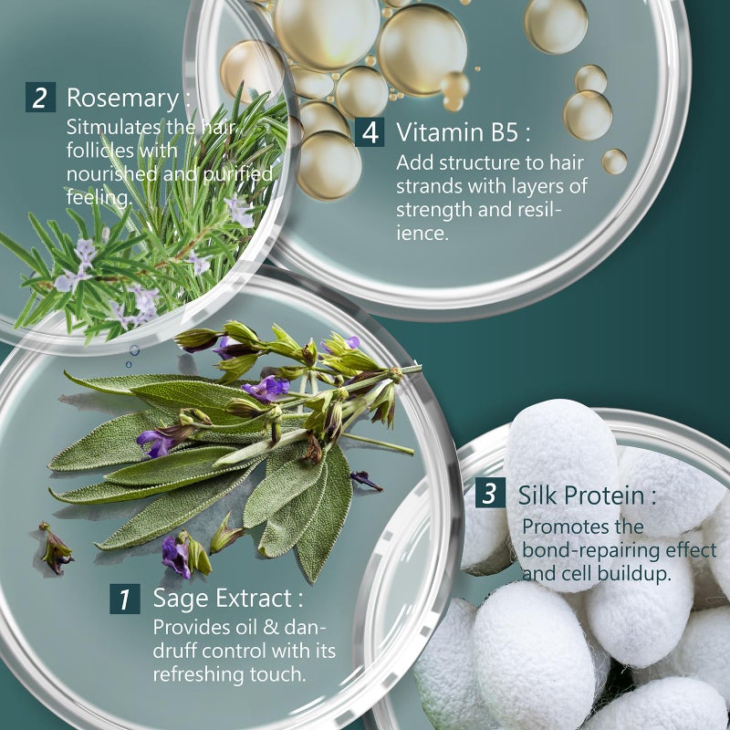 Sh Rd SH-RD Sage Purifying Shampoo for Oily Scalp | Deep Cleansing, Rebalancing, Hydrating Scalp Shampoo for Dandruff | for Flat Hair & All Hair Types | Sulfate-, Silicone-Free, Oil Control - 6.76oz/200ml - Image 3