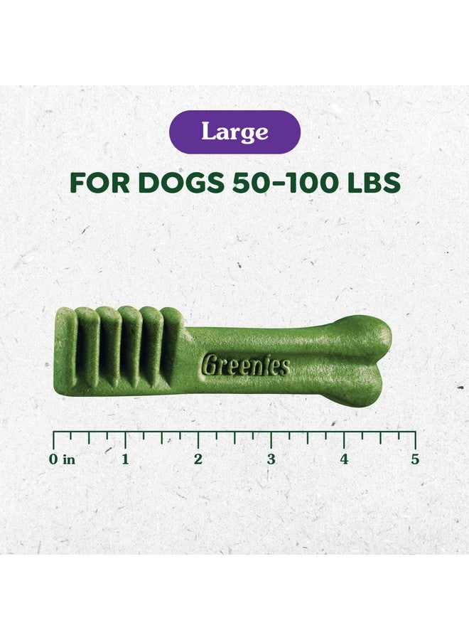 جرينيز بنكهة خبز الزنجبيل، حجم كبير، يُنصح به من قِبل الأطباء البيطريين للعناية بالأسنان، حلوى للكلاب، هدايا رائعة للكلاب في العطلات، إصدار محدود، عبوة ١٢ أونصة (٨ قطع) - Image 3