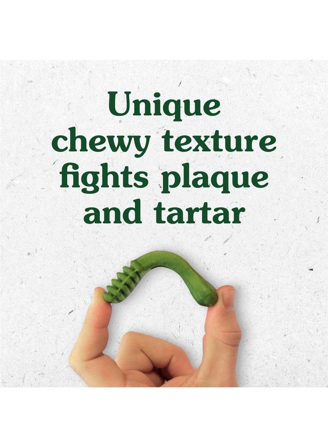 جرينيز بنكهة خبز الزنجبيل، حجم كبير، يُنصح به من قِبل الأطباء البيطريين للعناية بالأسنان، حلوى للكلاب، هدايا رائعة للكلاب في العطلات، إصدار محدود، عبوة ١٢ أونصة (٨ قطع) - Image 2