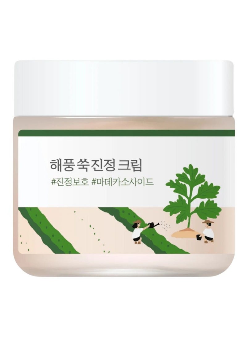 Round Lab Mugwort Calming Moisturizer - for Sensitive to Acne Prone Skin 80ml - Image 1