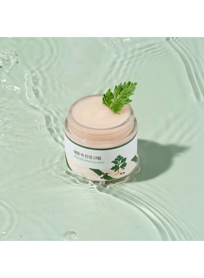 Round Lab Mugwort Calming Moisturizer - for Sensitive to Acne Prone Skin 80ml - Image 2