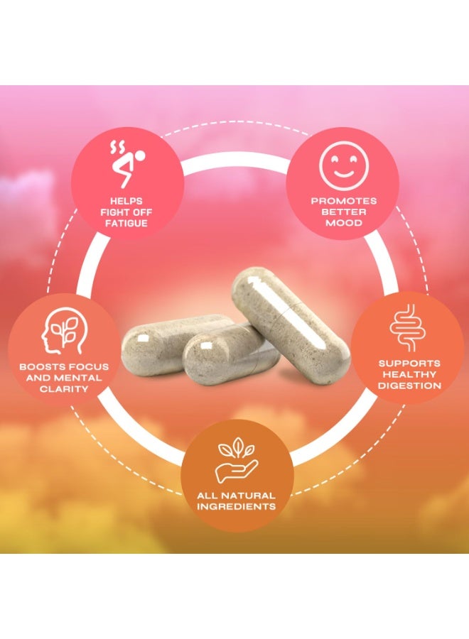 حول الدماغ Brainista Yerba Magic – كبسولات يربا ماتي 100% | طاقة طبيعية ونقية، تركيز ودعم للهضم | 60 جرعة - Image 3