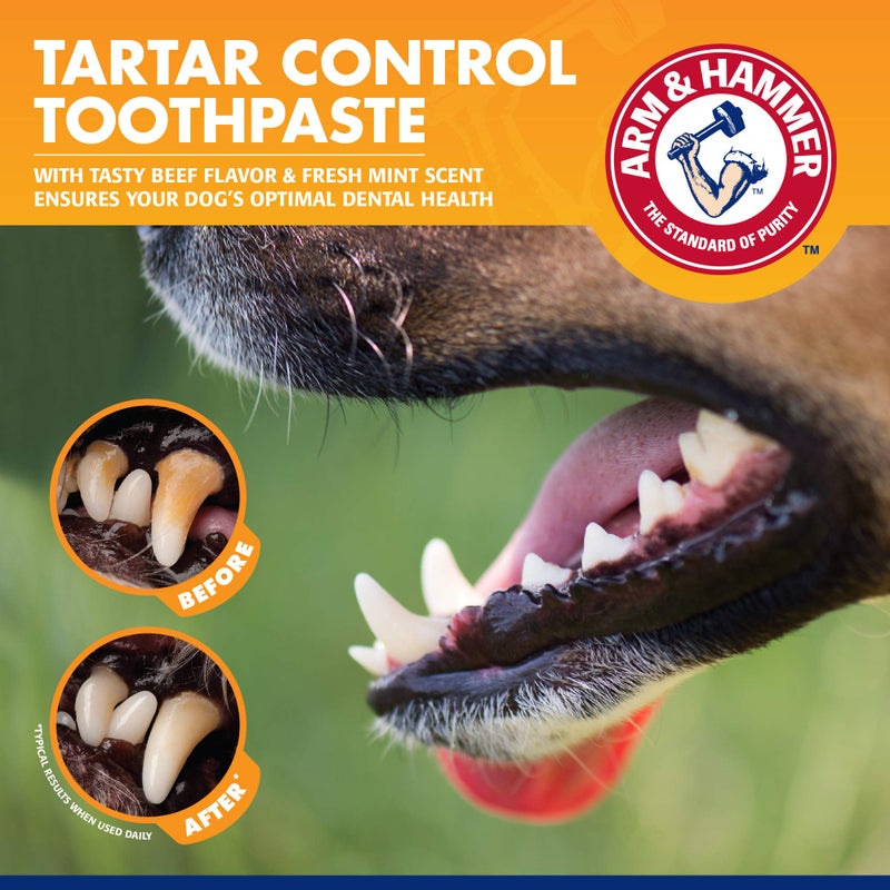Arm & Hammer for Pets Tartar Control Kit for Dogs | Contains Toothpaste, Toothbrush & Fingerbrush | Reduces Plaque & Tartar Buildup | Safe for Puppies, 3-Piece , Beef Flavor - Image 4