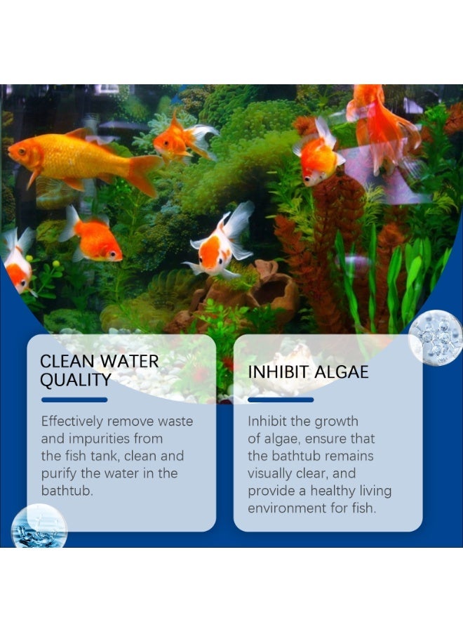 YEGBONG Fish Tank Water Cleaner, Clean Fish Tank Stains, Clear Water Quality and Control Algae Growth 100ml - Image 4