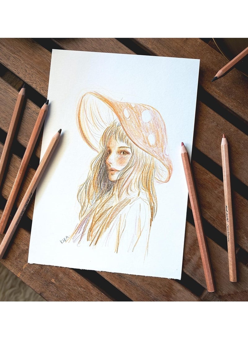 Mont Marte 12-Piece Skin Colour Pastel Colour Pencils  - Image 4