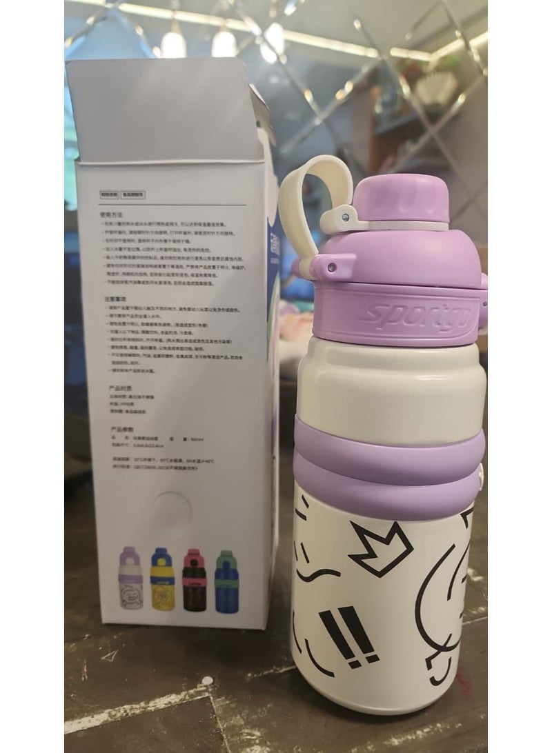 Stainless Steel Insulated Water Bottle with Leakproof Lock