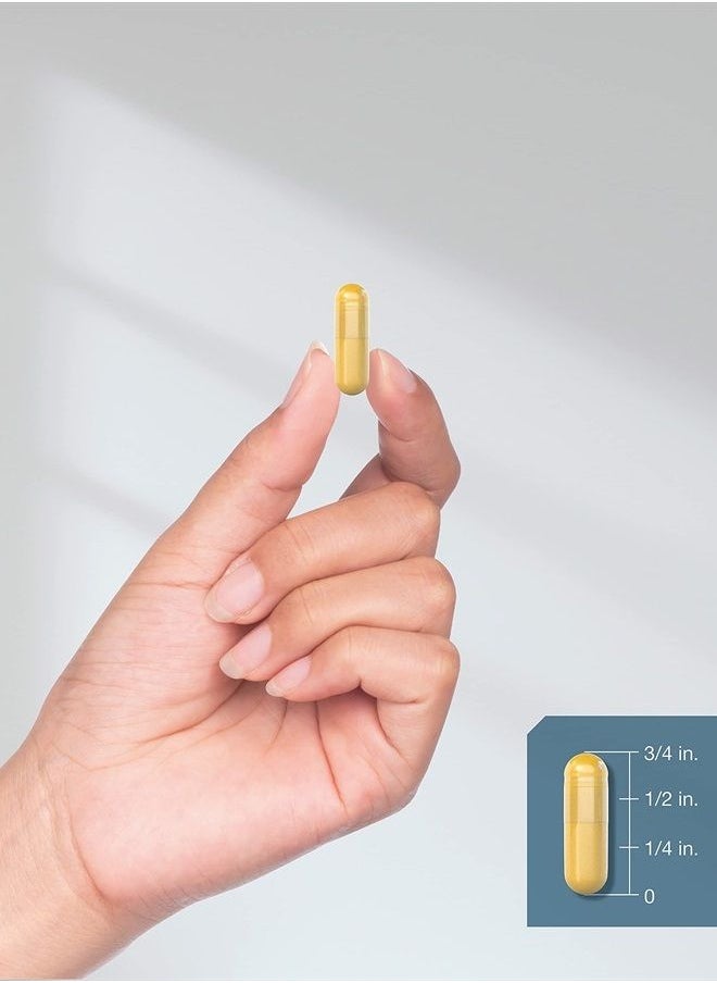 كبسولات Ox Bile 1000 mg 100 | مكمل غذائي لإنزيمات الجهاز الهضمي | خالٍ من الكائنات المعدلة وراثيًا وخالي من الجلوتين | من إنتاج Horbaach