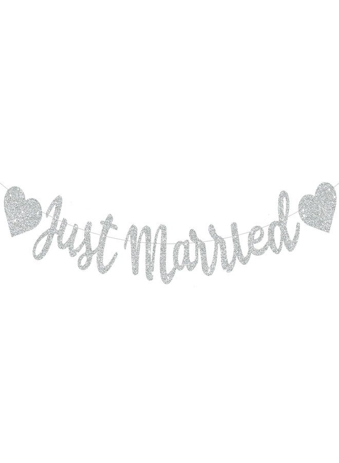 بيشيدا لافتة BEISHIDA الفضية لحفلات الزفاف - لا تحتاج إلى صنعها بنفسك، لافتة حفل زفاف لامعة، علامات للمتزوجين حديثًا، إكليل العازبة/العرائس، لوازم ديكور حفل الخطوبة، ديكورات حفل استقبال الزفاف. - Image 1