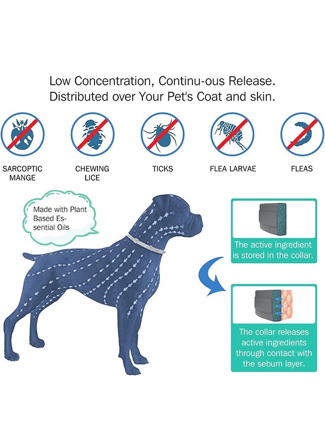 HY Natural Naturally Effective Flea and Tick Collar for Dogs 8 Months Waterproof Protection and Adjustable Design (1 Pack) - Image 3