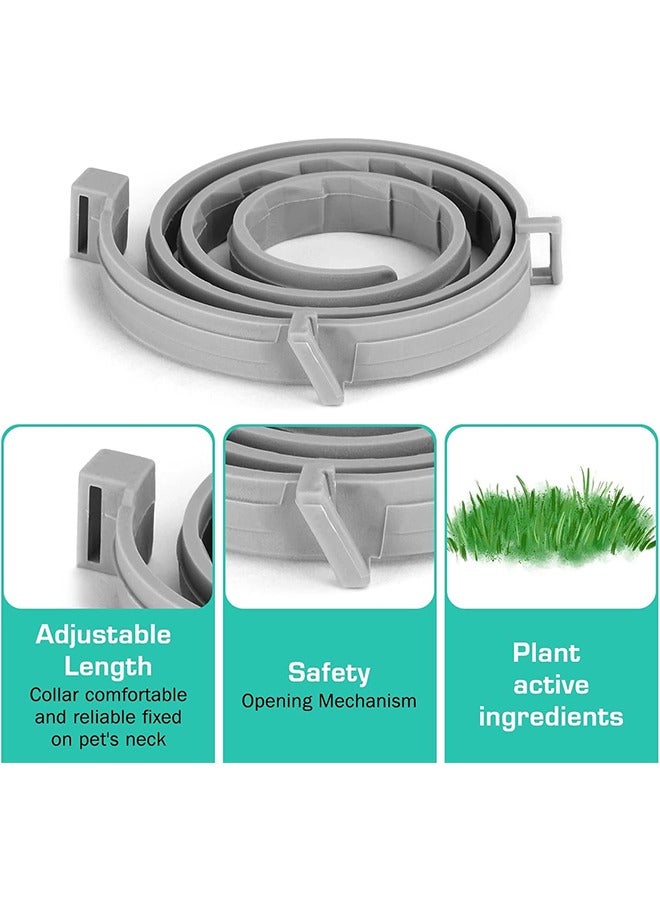 HY Natural Naturally Effective Flea and Tick Collar for Dogs 8 Months Waterproof Protection and Adjustable Design (1 Pack) - Image 4