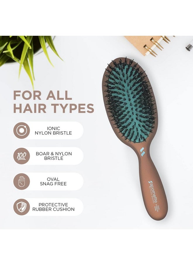 Spornette Ion Fusion Cushion Oval Brush - Boar & Nylon Bristle Mix For Brushing Out, Smoothing, Detangling, Styling And Setting Medium To Long, Thick, Thin Or Normal Hair For Men, Women And Children  - Image 2