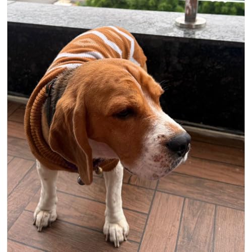 Lulala Dog Sweater – Cozy Warm Knitted Coat for Small & Medium Dogs, Brown with White Zigzag Pattern – Soft & Comfortable Winter Apparel for Pets - Image 5