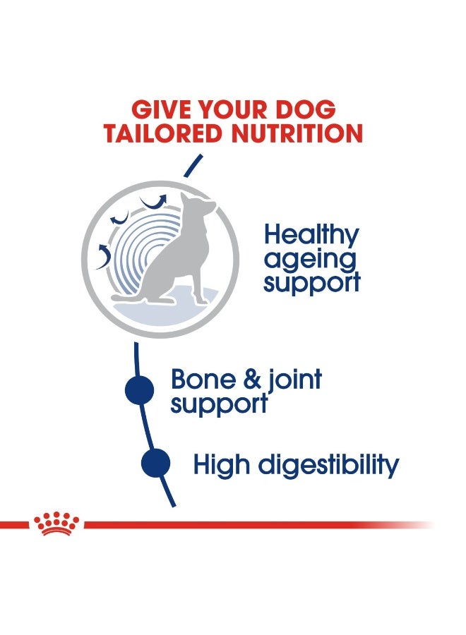 رويال كانين حجم التغذية الصحية ماكسي إيجينغ 8+ 15 كجم - Image 5