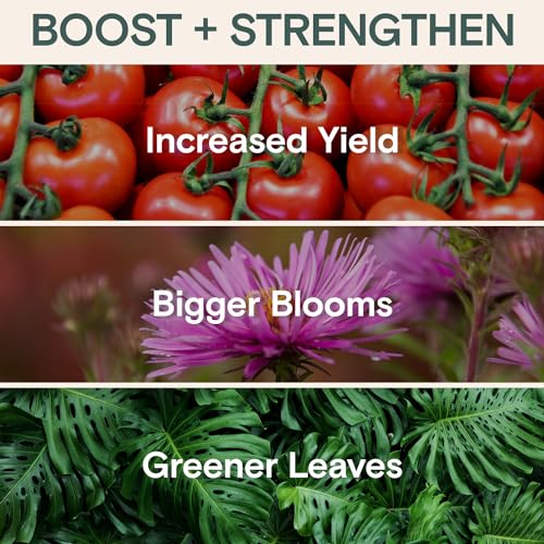 Arber Organic Liquid Plant Food & Fertilizer – Indoor/Outdoor for Houseplants, Vegetables & Flowers, Monstera & Money Tree – OMRI Listed, Pollinator Safe – Easy Weekly Mix (Nutrition & Health Set) - Image 3