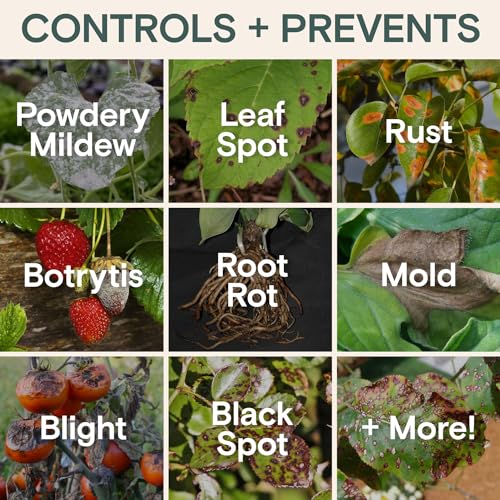 Arber Organic Liquid Plant Food & Fertilizer – Indoor/Outdoor for Houseplants, Vegetables & Flowers, Monstera & Money Tree – OMRI Listed, Pollinator Safe – Easy Weekly Mix (Nutrition & Health Set) - Image 4