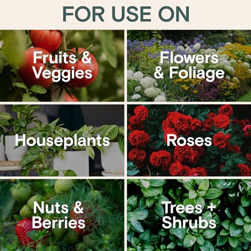Arber Organic Liquid Plant Food & Fertilizer – Indoor/Outdoor for Houseplants, Vegetables & Flowers, Monstera & Money Tree – OMRI Listed, Pollinator Safe – Easy Weekly Mix (Nutrition & Health Set) - Image 5